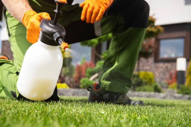 Best Rodent Control Near Me  in China Spring, TX