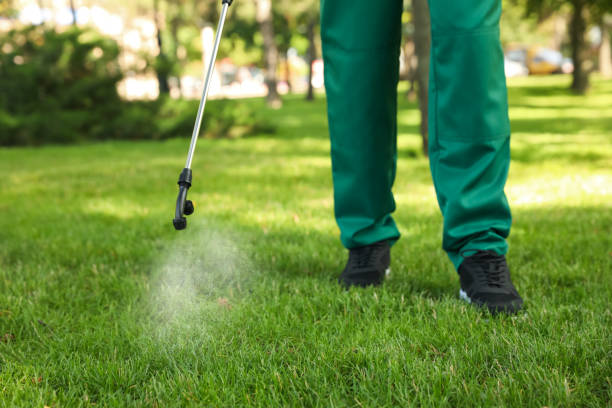 Best Cockroach Control Services  in China Spring, TX