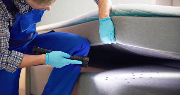 Best Flea Control Services  in China Spring, TX