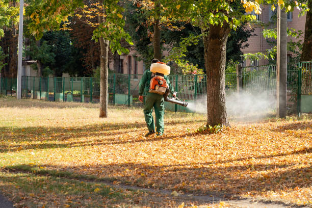 Best Exterminator Services  in China Spring, TX