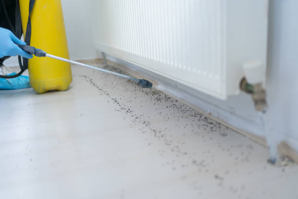 Best Residential Pest Control  in China Spring, TX